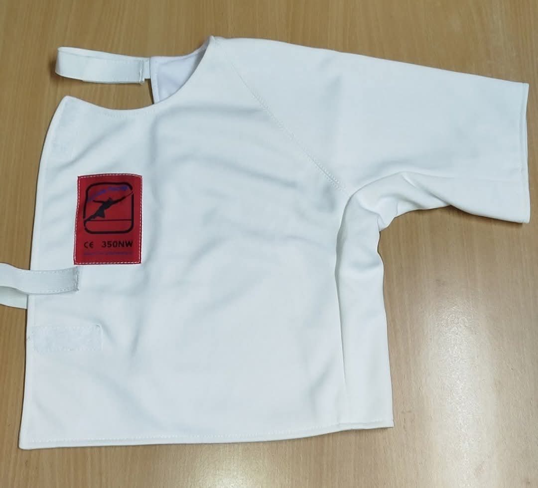 Plastron-LH thumbnail 3